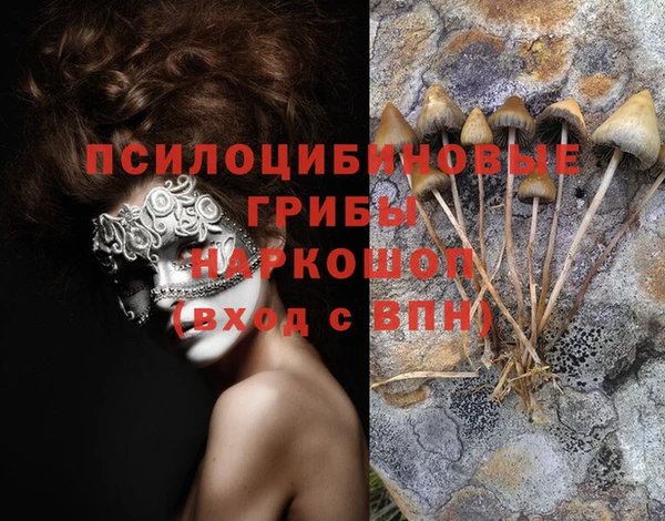 Альфа ПВП Медногорск