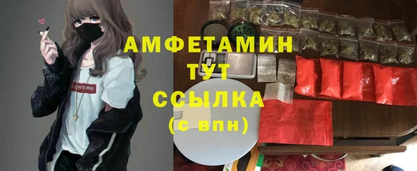 прущие крисы Медвежьегорск