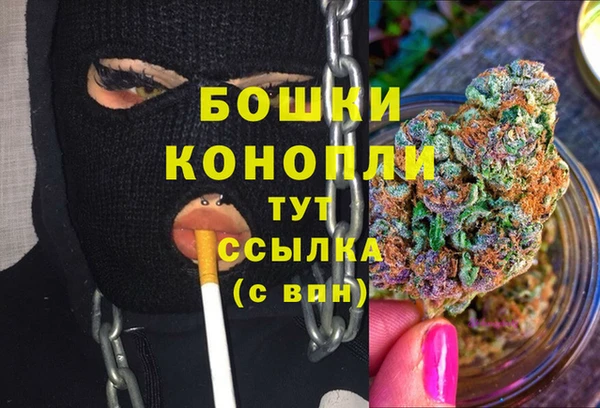Альфа ПВП Медногорск