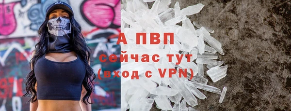 прущие крисы Медвежьегорск