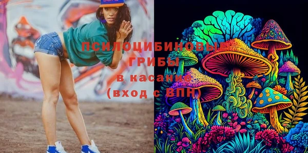 прущие крисы Медвежьегорск